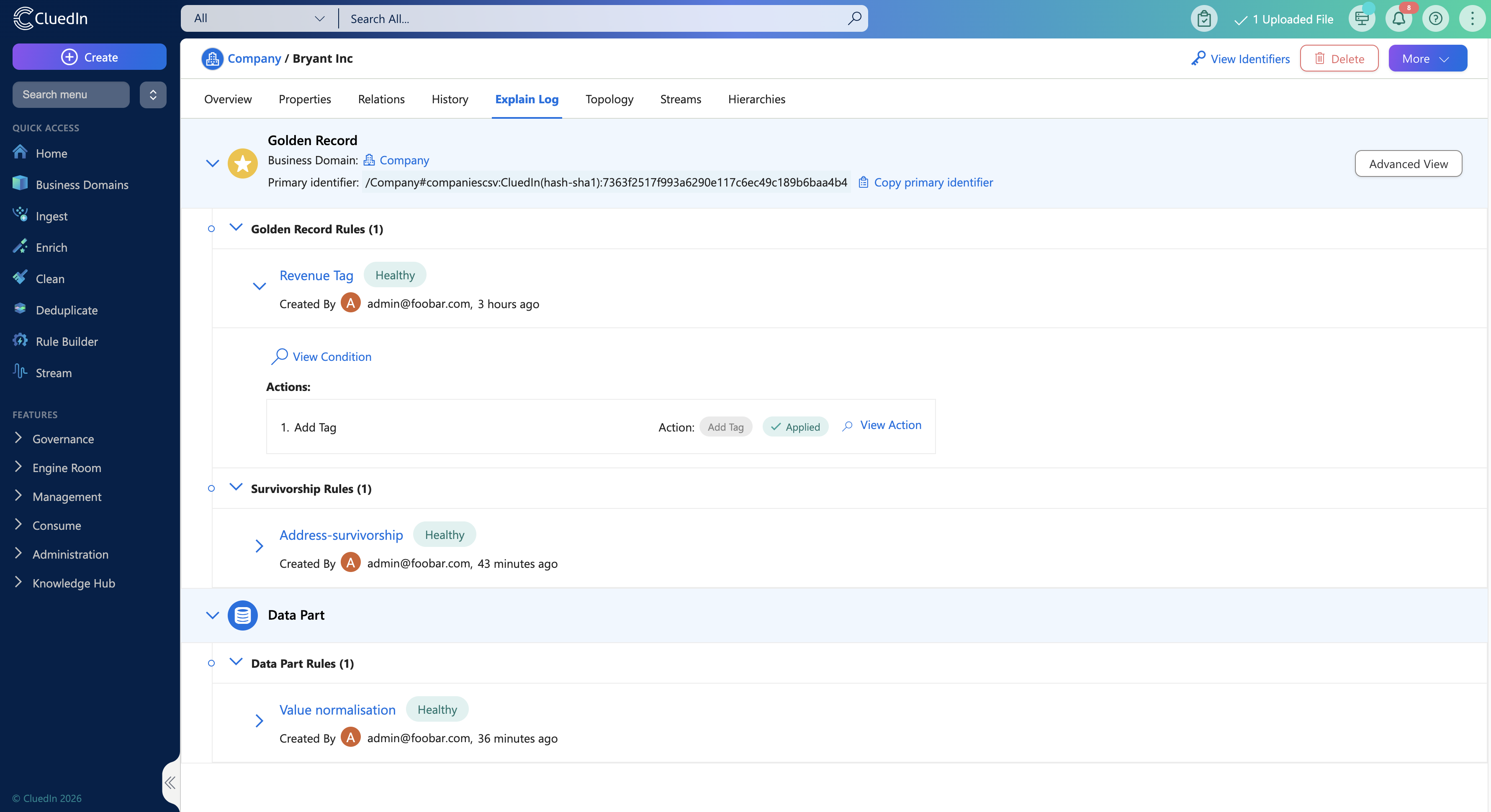 Simplified Explain Log page grouping golden record rules, survivorship rules and data part rules with their actions and status